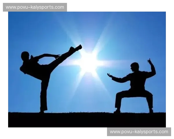 搏击的刚猛与太极的柔韧：一场跨越时空的对话